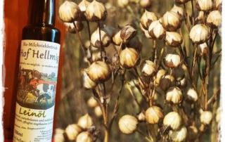 Versandaktion am 16. Mai 2024 6 ---n