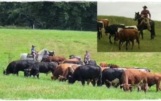 Ranchcamp am 12.-13. August 2023 1 ---n