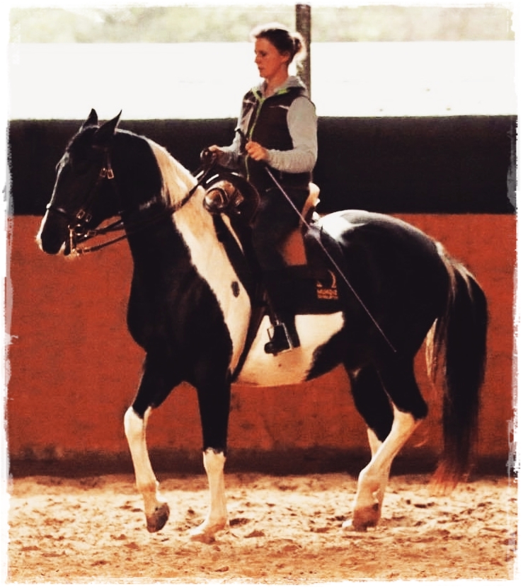 4 Reitschule 1