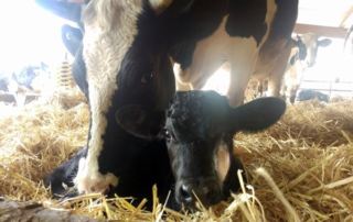 Verkaufstag am 8. Dezember mit Weihnachtsangebot! 2 index-