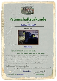 Kälberpatenschaften 2 Kälberpatenschaften 2